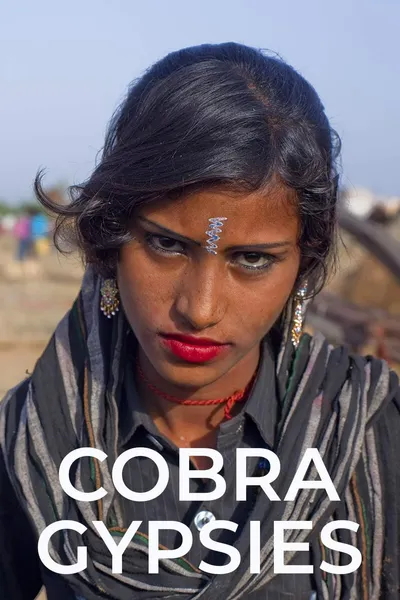 Cobra Gypsies