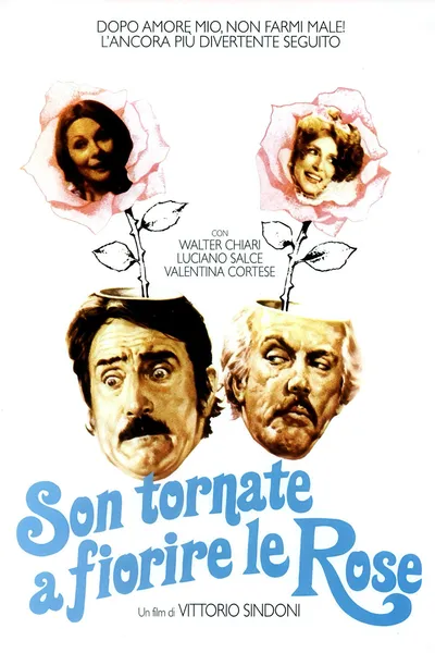 Son tornate a fiorire le rose