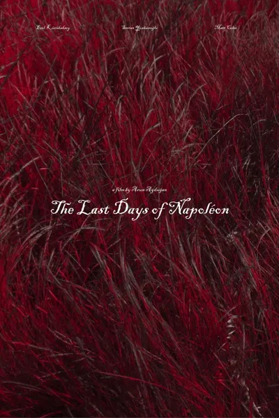 The Last Days of Napoléon