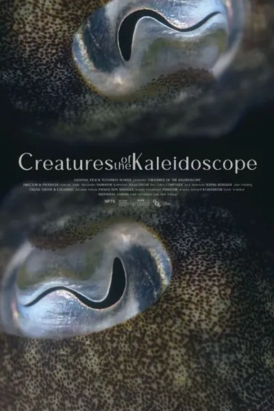 Creatures of the Kaleidoscope