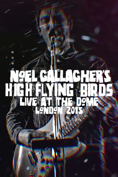 Noel Gallagher's High Flying Birds - Live at The Dome, London