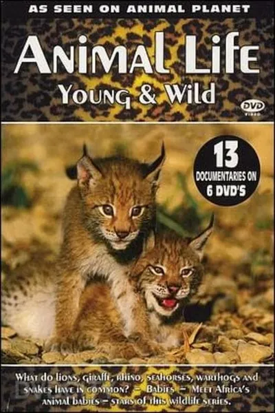 Animal Life: Young & Wild