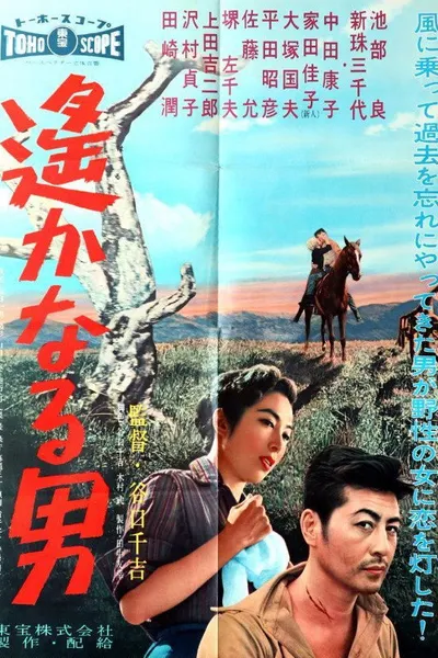 Faraway Man