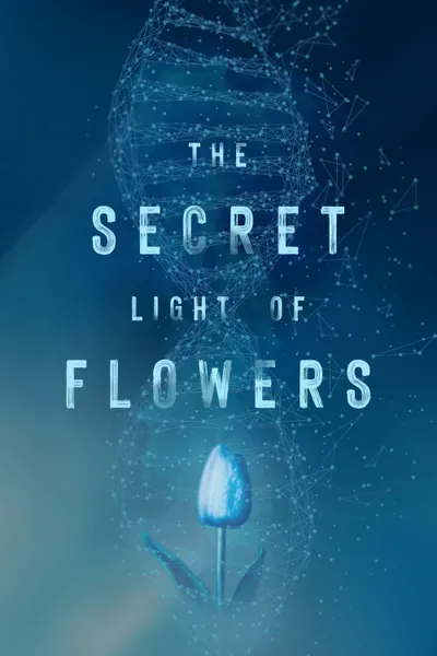 The Secret Light of Flowers