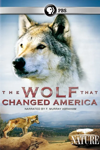 Lobo: The Wolf That Changed America