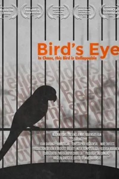 Bird's Eye