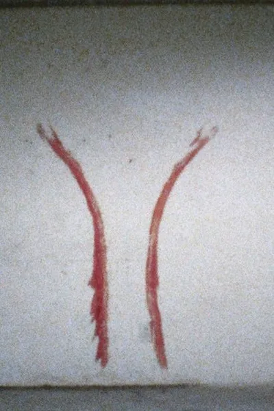 Body Tracks