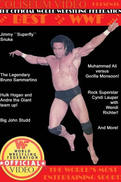 Best of the WWF Volume 1