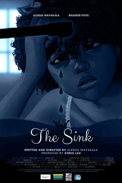 The Sink