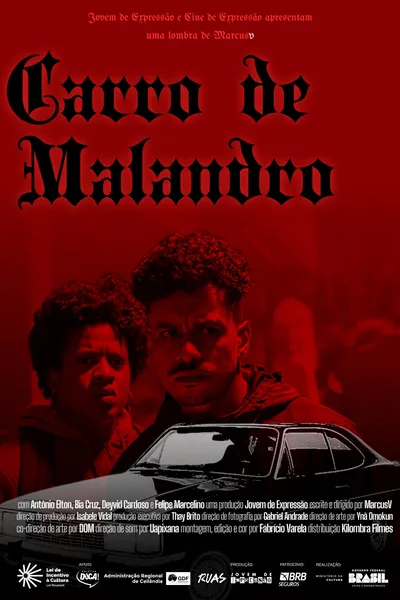 Carro de Malandro