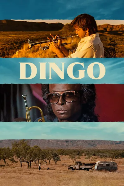 Dingo