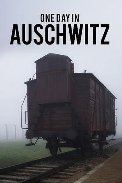 Auschwitz - One Day