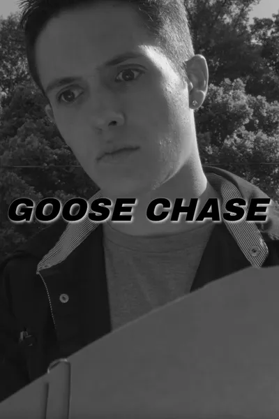 Goose Chase