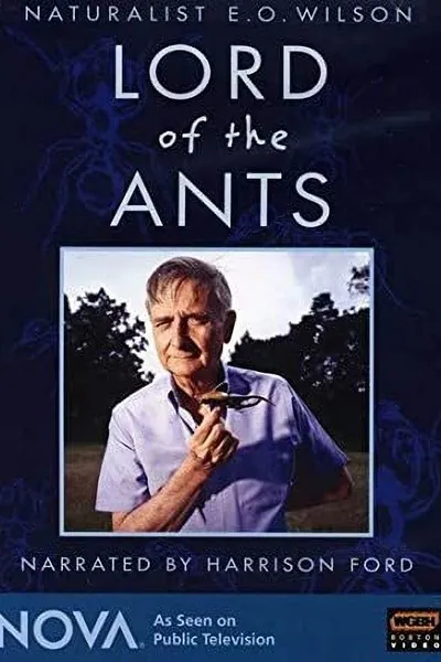 Lord of the Ants