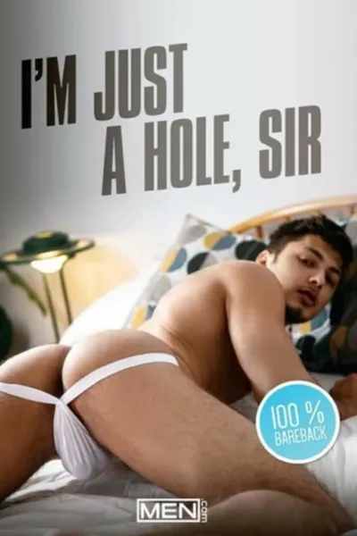 I'm Just A Hole, Sir