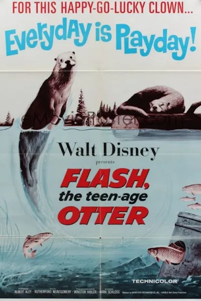 Flash, The Teenage Otter