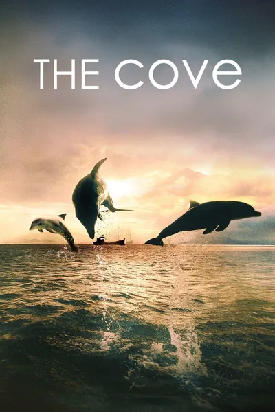 The Cove