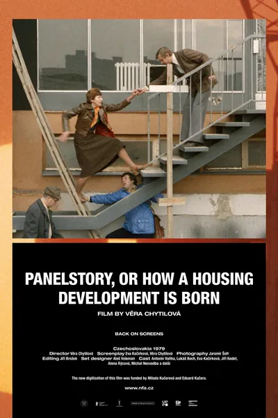 Panelstory or Birth of a Community