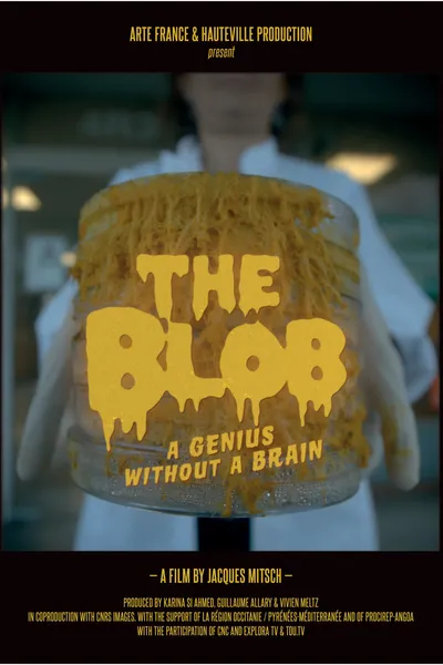 The Blob: A Genius without a Brain