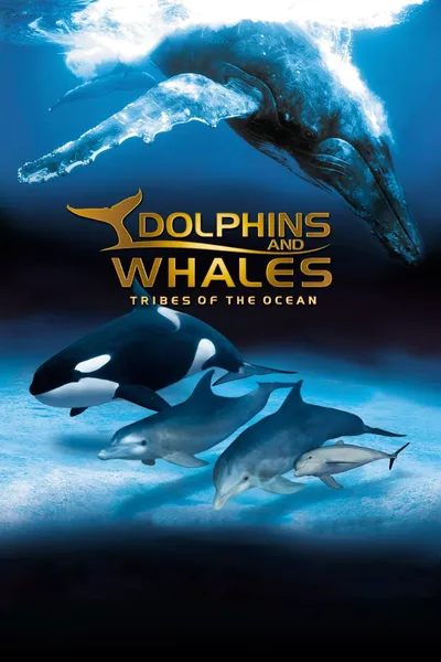 IMAX Dolphins and Whales: Tribes of the Ocean