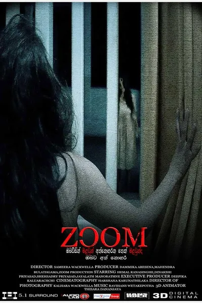 ZOOM