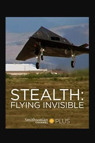 Stealth: Flying Invisible