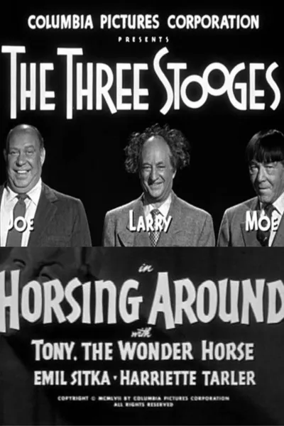 Horsing Around