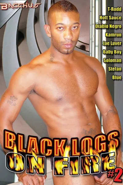 Black Logs on Fire 2