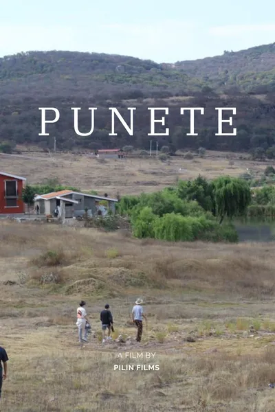 "PUNETE"