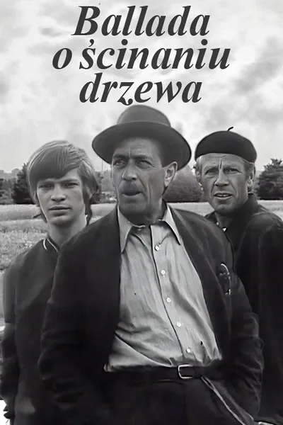 Ballada o ścinaniu drzewa