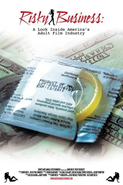 Risky Business: A Look Inside America's Adult Film Industry