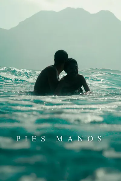 Pies, manos