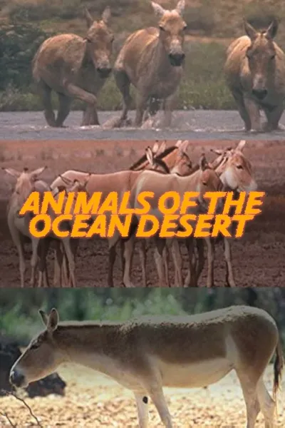 Animals of the Ocean Desert