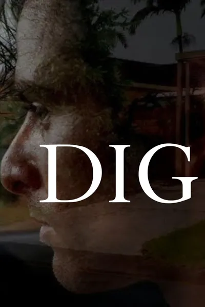 DIG