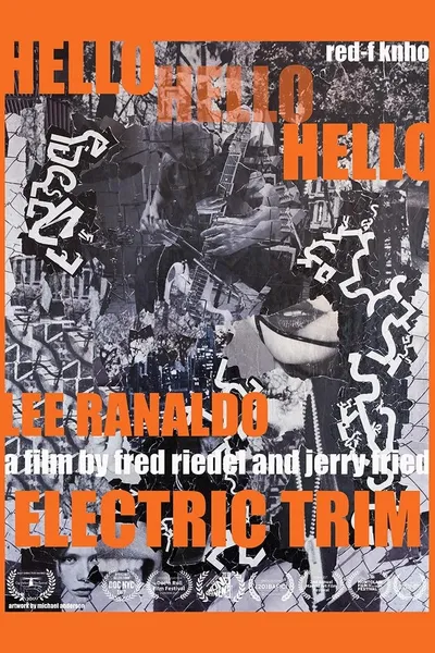 Hello Hello Hello: Lee Ranaldo, Electric Trim