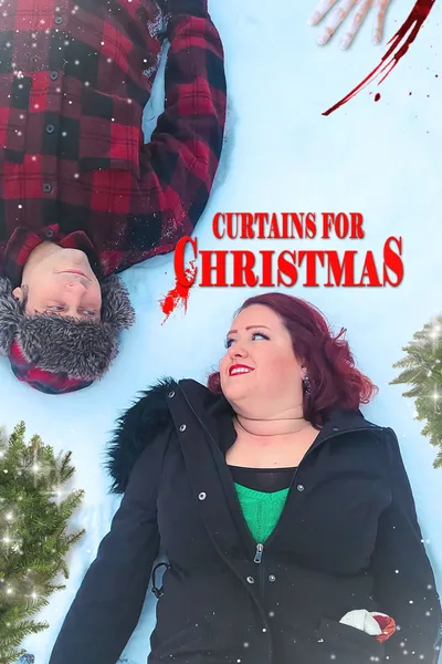 Curtains for Christmas