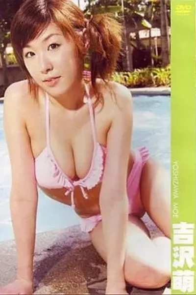 吉沢萌