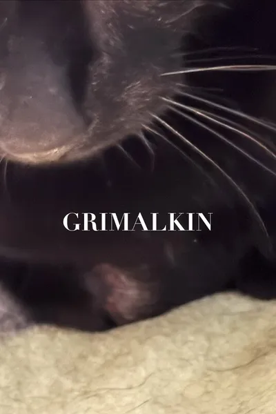 Grimalkin