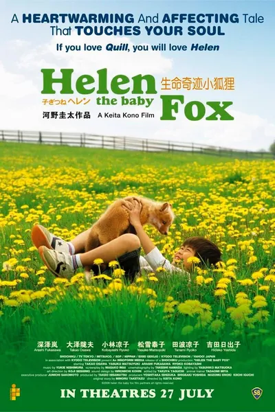 Helen the Baby Fox