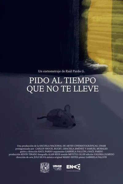 I Plead Time Does Not Take You Away