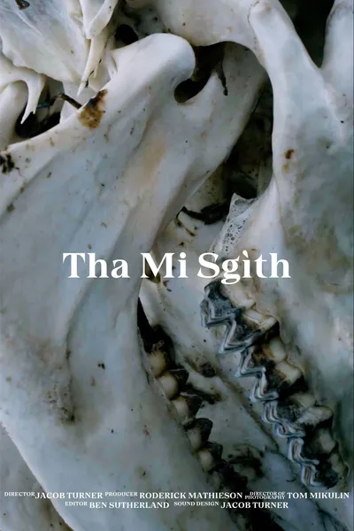 Tha Mi Sgìth