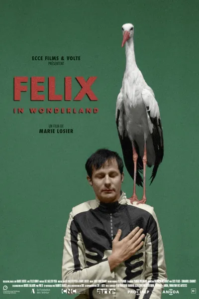 Felix in Wonderland