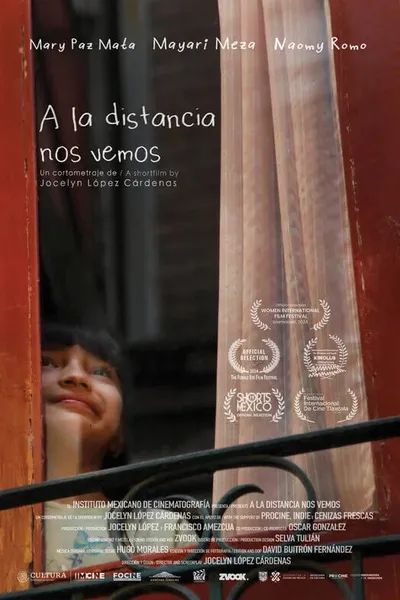 From A Distance We See Each Other