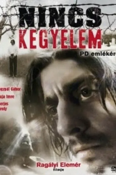Nincs kegyelem