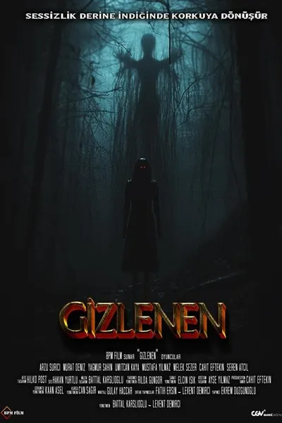 Gizlenen