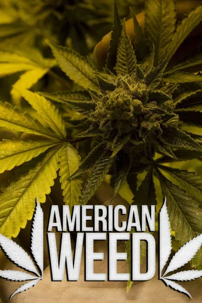 American Weed