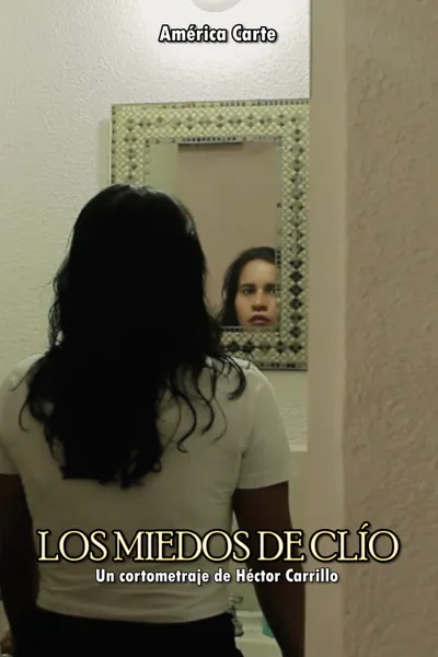 Los miedos de Clío