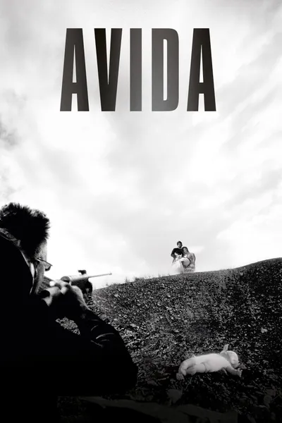 Avida