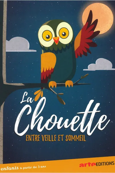 La chouette du cinema, entre veille et sommeil