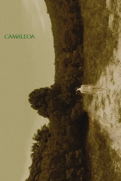Camaleoa